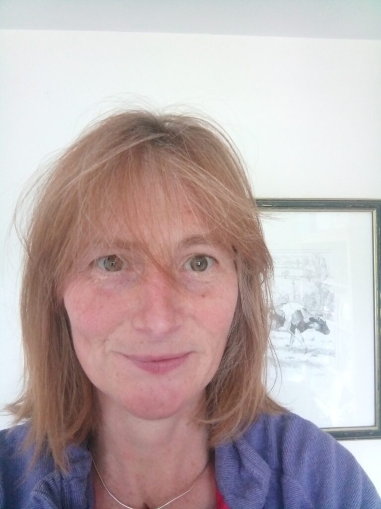 calcoed-vets-holywell-local-vets-near-me