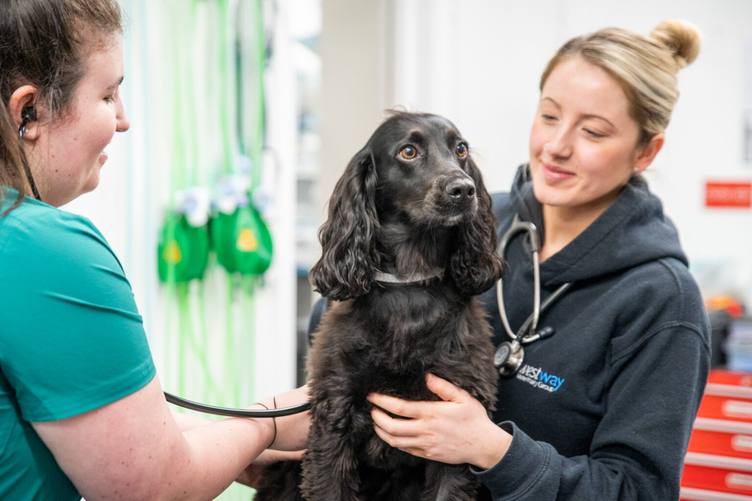 Vets For Pets Newcastle Upon Tyne